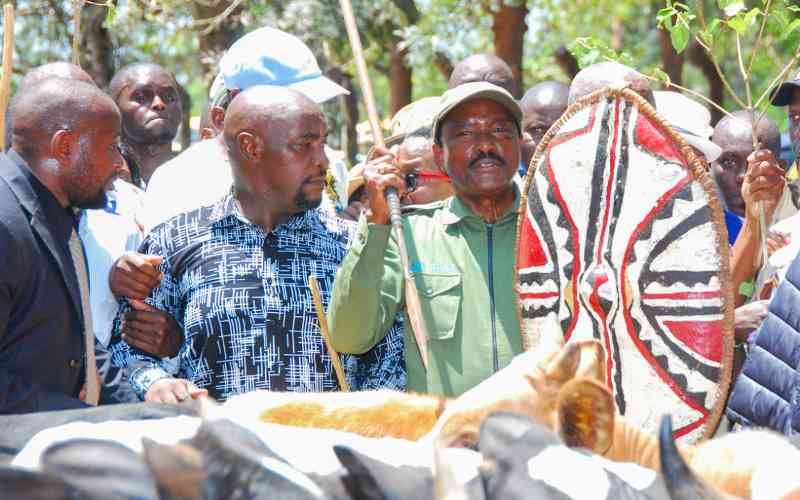 Kalonzo's moving tribute to Raila as Gachagua skips Opoda visit Kalonzo's moving tribute to Raila as Gachagua skips Opoda visit