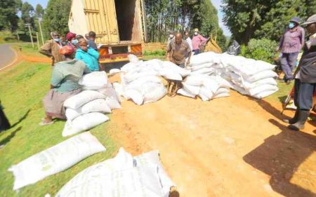 Kenya exports 103m kilos of tea in 3 months