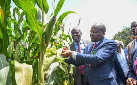 Kenya's agricultural exports set to penetrate US retail market