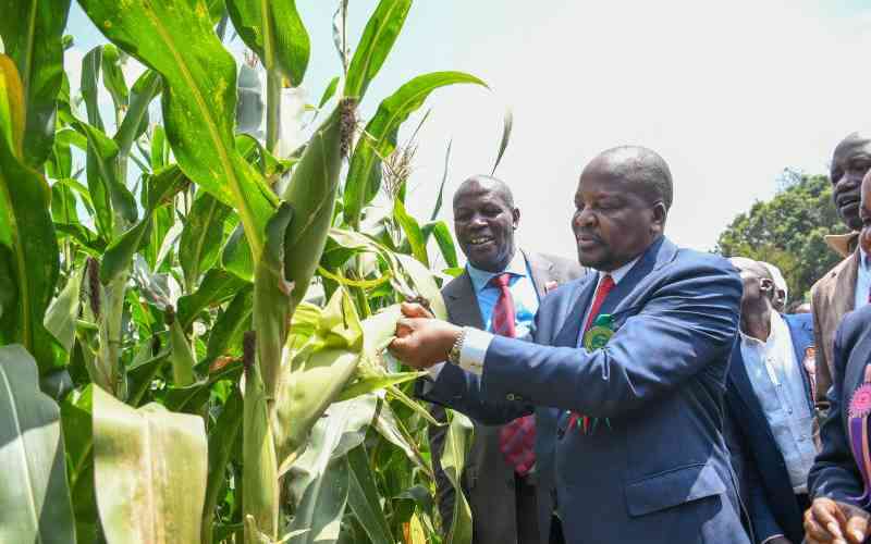 Kenya's agricultural exports set to penetrate US retail market Kenya's agricultural exports set to penetrate US retail market