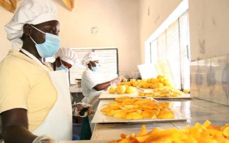 Kenya's exports to the US grow as countries' struggle with tariffs
