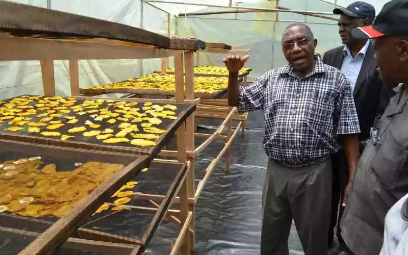 Kenyan farmers don't lack land or rain, make machinery affordable Kenyan farmers don't lack land or rain, make machinery affordable