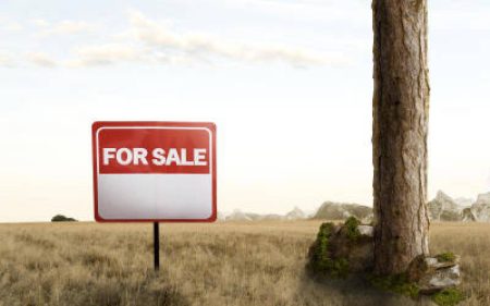 Land fraud in Kenya and prophetic task of 'due diligence'