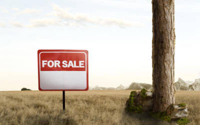 Land fraud in Kenya and prophetic task of ‘due diligence’ Land fraud in Kenya and prophetic task of 'due diligence'