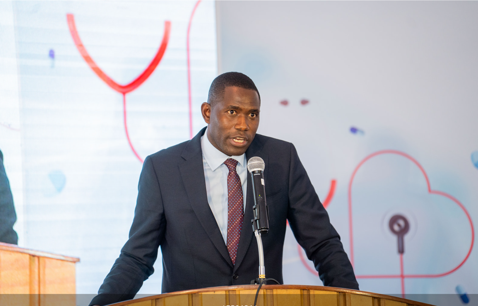 Leaders call for more domestic resources as foreign aid dwindles