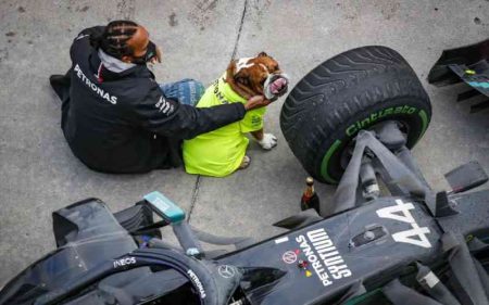 Lewis Hamilton reveals 'hardest decision' over dog's death