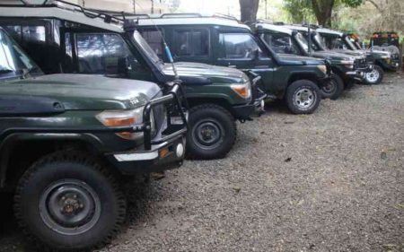 Licenses of four tour operators revoked in crackdown on rogue firms