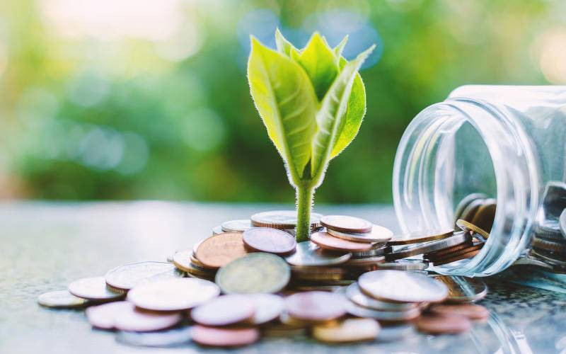 Local finance sector faces skills and technology gaps Local finance sector faces skills and technology gaps