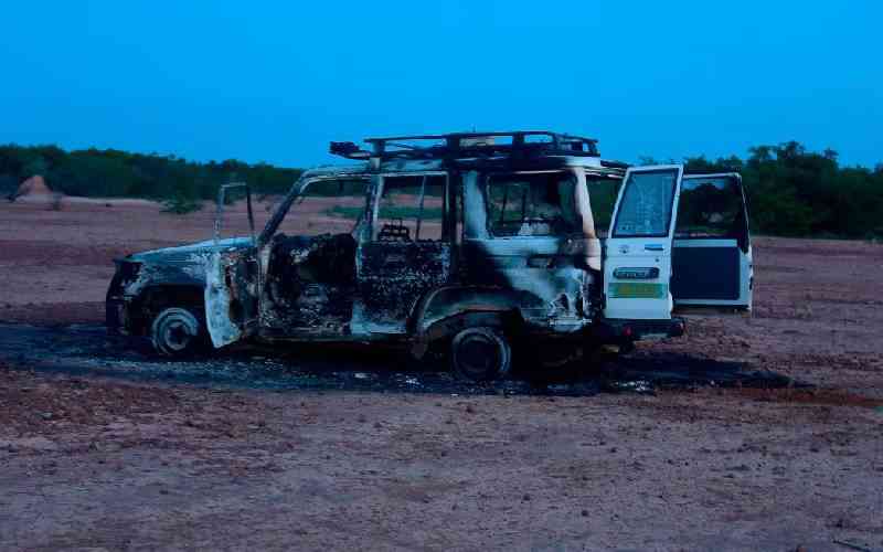 Locals in Niger say 'terrorists' killed 25 militia members Locals in Niger say 'terrorists' killed 25 militia members