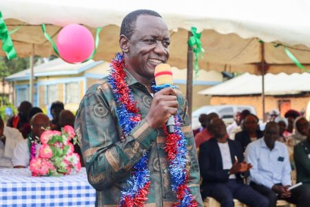 MP Makali: Courts can't stop parliament from fulfilling its duties