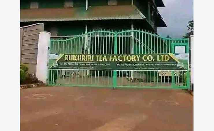 MPs probe why some tea farmers earned as low as Sh10 bonus MPs probe why some tea farmers earned as low as Sh10 bonus