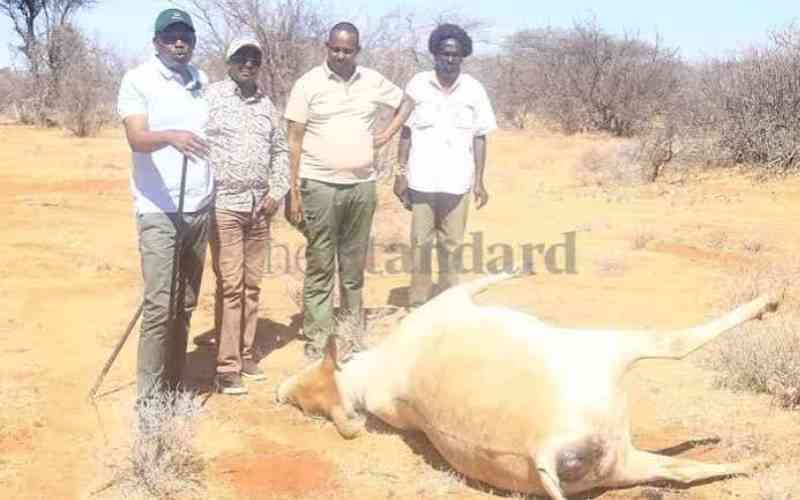 MPs summon Murkomen, Kanja over Samburu livestock killings MPs summon Murkomen, Kanja over Samburu livestock killings