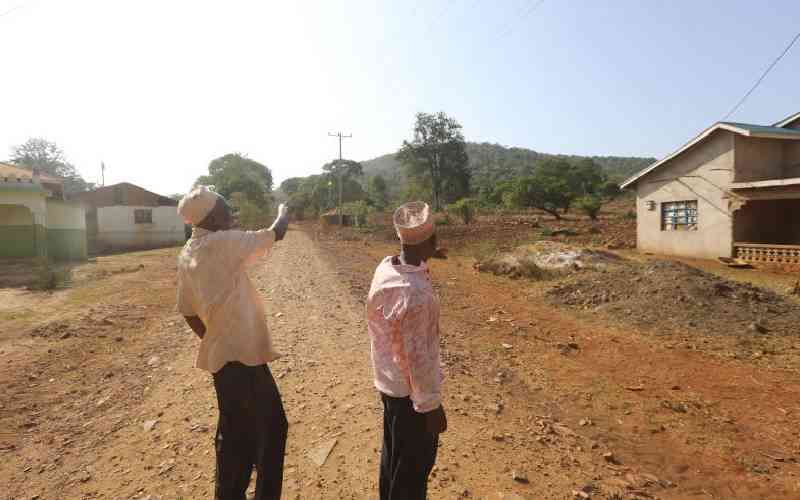 Mrima Hill rare earth project attracts new US-backed consortium Mrima Hill rare earth project attracts new US-backed consortium