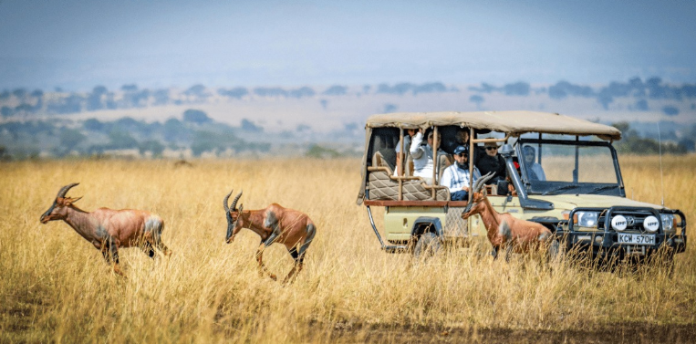 NDAYI: Omni-channel booking models for safaris: The future of Kenyan tourism NDAYI: Omni-channel booking models for safaris: The future of Kenyan tourism
