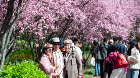 New consumption frontiers energize China’s market during Qingming Festival holiday