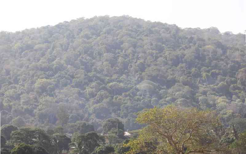 New firm shows interest in Mrima Hills' Sh8.1 trillion mineral deposits New firm shows interest in Mrima Hills' Sh8.1 trillion mineral deposits