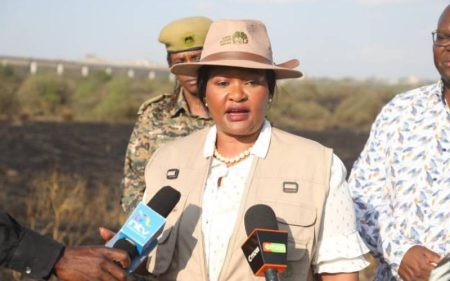 New park fees killing our business, say tour operators