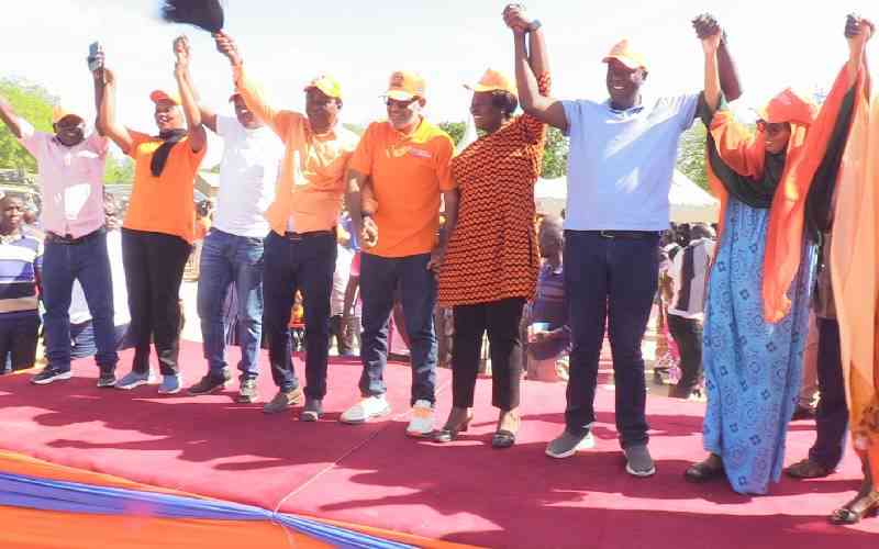 ODM chiefs declare stand on mini polls ODM chiefs declare stand on mini polls