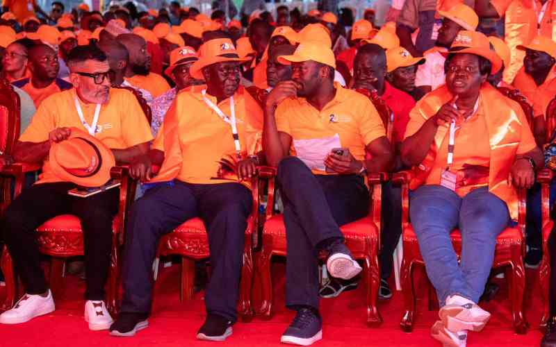 ODM waning power jolts Odinga family
