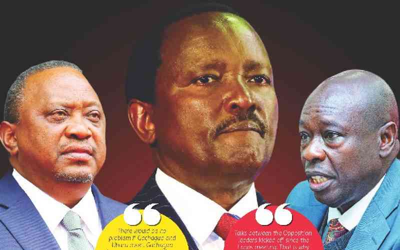 One-term plan: Inside Obasanjo, Uhuru and Kalonzo meeting One-term plan: Inside Obasanjo, Uhuru and Kalonzo meeting