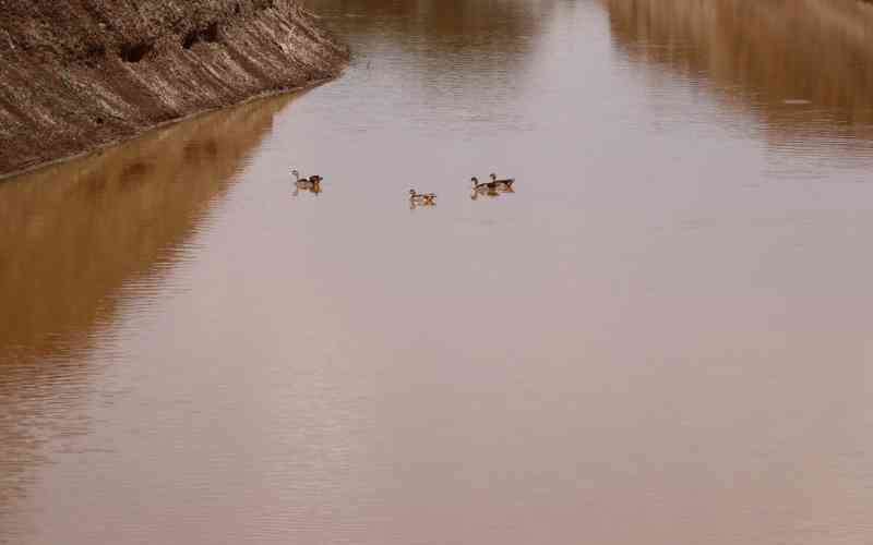 Philippines accuses China of poisoning disputed waters Philippines accuses China of poisoning disputed waters