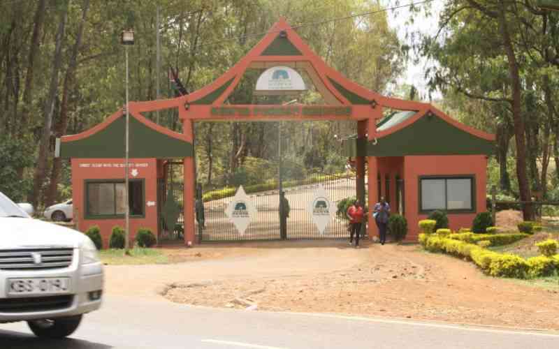 Places to visit in Nairobi for Sh1,000 or less this holiday