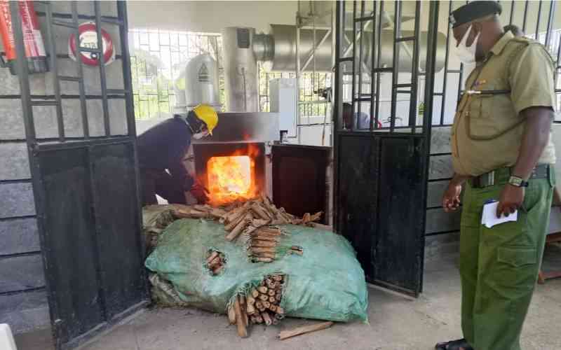 Police destroy Sh21 million bhang, heroin in Busia Police destroy Sh21 million bhang, heroin in Busia