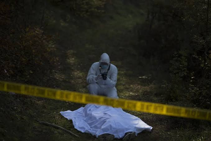 Pregnant woman found dead by roadside in Kirinyaga with head, hip injuries Pregnant woman found dead by roadside in Kirinyaga with head, hip injuries