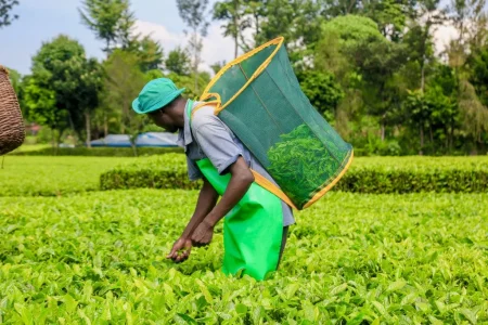 Kenyan Wall Street - Business, Markets & Finance Insights