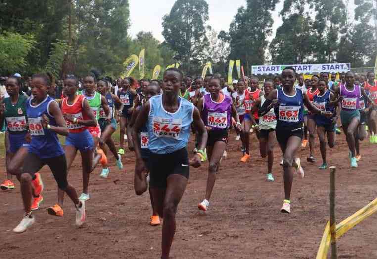 Race to review AK constitution begins after endless battles Race to review AK constitution begins after endless battles