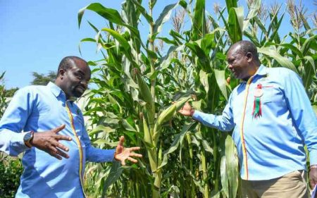 Regenerative marketing: Moving beyond 'less bad' to 'net positive'