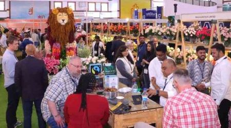 Region's rising economic potential draws trade exhibitors to Nairobi