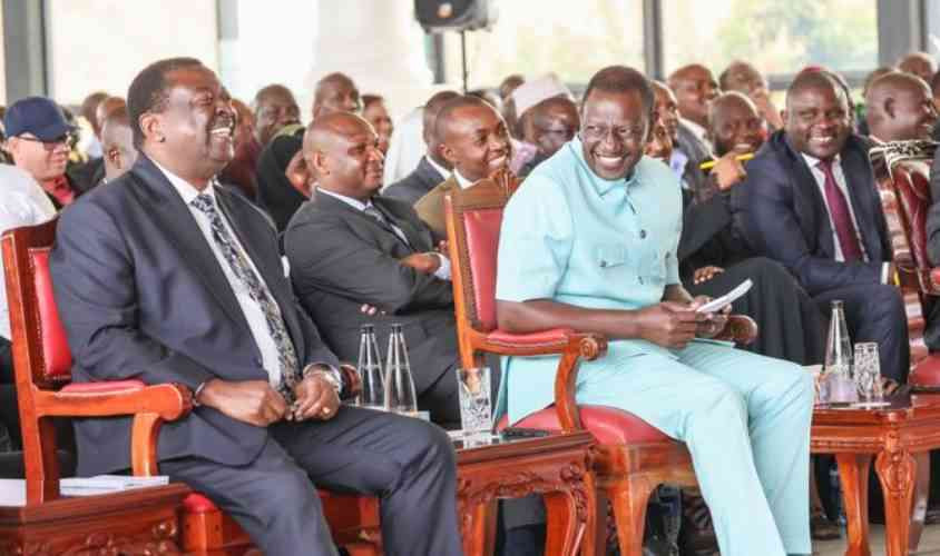 Ruling on parties' alliance sparks mixed reactions Ruling on parties' alliance sparks mixed reactions