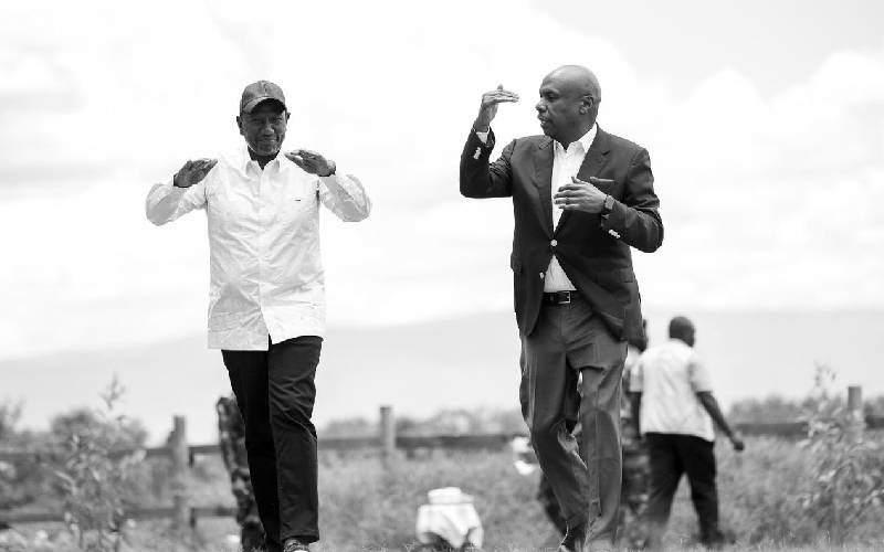 Ruto-Moi handshake: Why Rift Valley is shaken Ruto-Moi handshake: Why Rift Valley is shaken