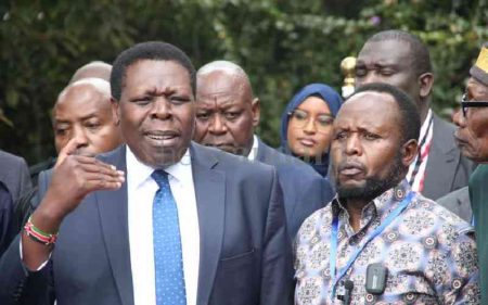 Ruto behind DAP-K troubles, Wamalwa now claims