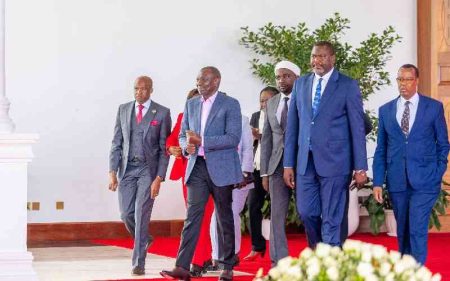 Ruto meets Embu leaders, pledges to enhance muguka returns