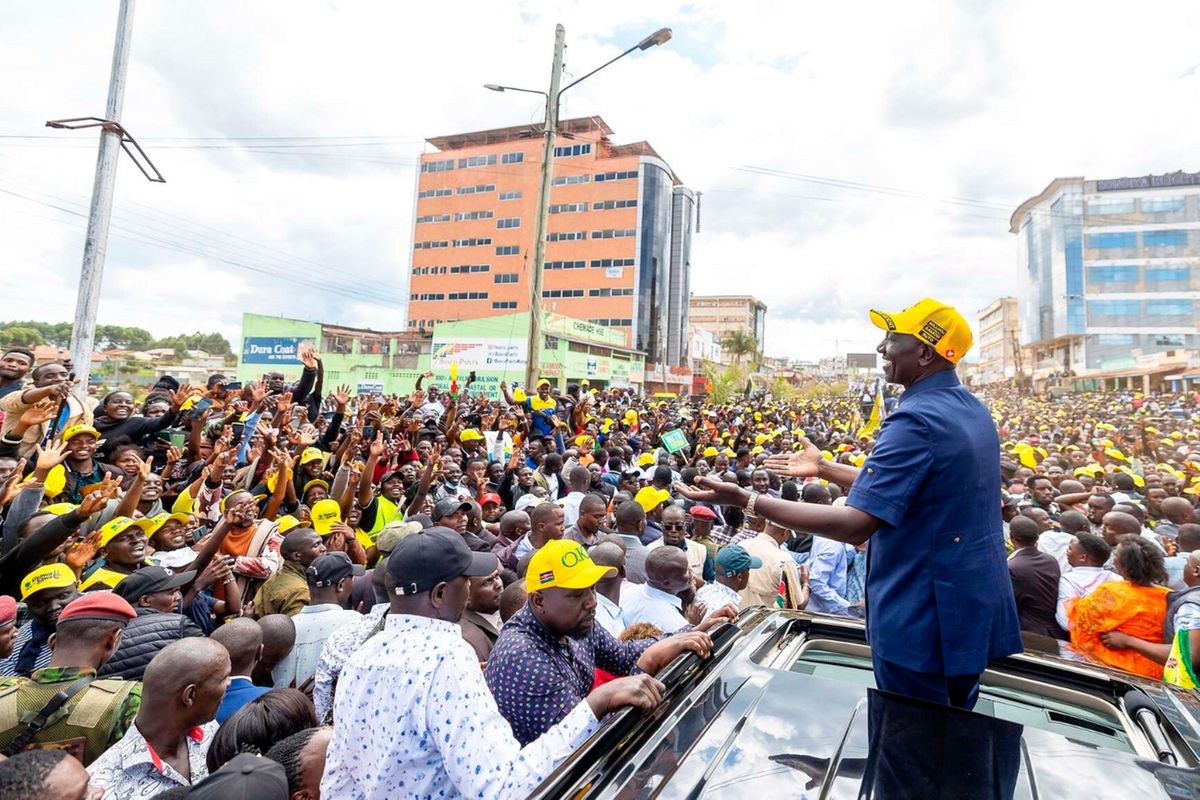 Ruto’s dairy promise: Sh65 milk and farmer-owned New KCC Ruto’s dairy promise: Sh65 milk and farmer-owned New KCC