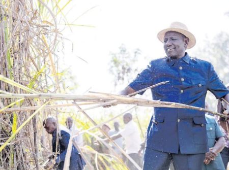 Ruto’s sugar reforms: Make or break in Nyanza, Western