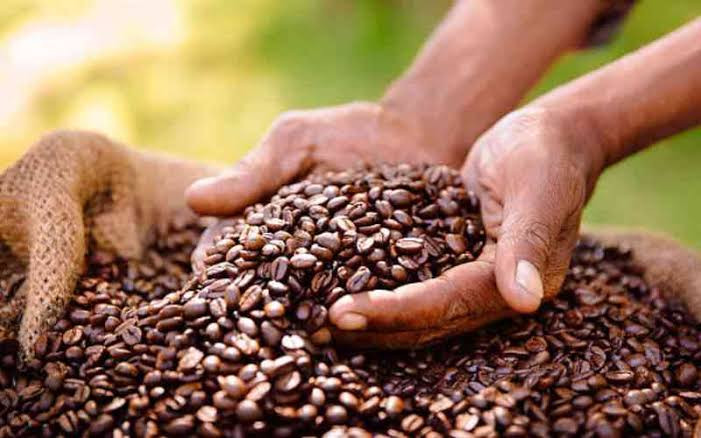 Science, technology key to reviving Kenya's coffee sector Science, technology key to reviving Kenya's coffee sector