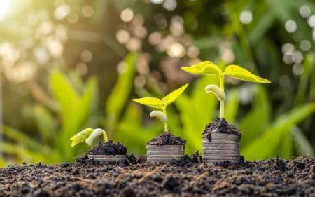 Sealing the leak in the financing of agriculture and food systems