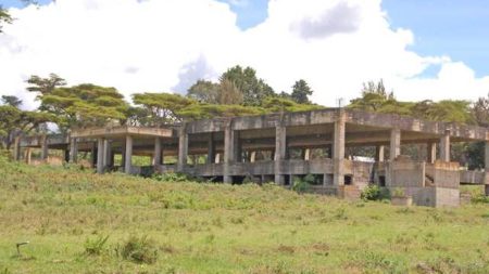 Senators criticise governors for abandoning predecessors’ projects