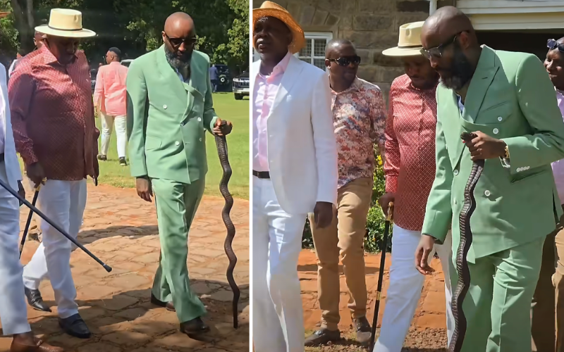 Shaffie Weru stirs debate with snake-themed walking stick at high-profile wedding Shaffie Weru stirs debate with snake-themed walking stick at high-profile wedding