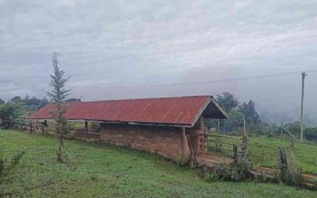 Spare a thought for farmers in white highlands