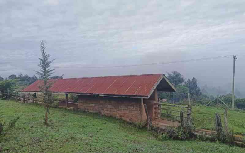 Spare a thought for farmers in white highlands Spare a thought for farmers in white highlands