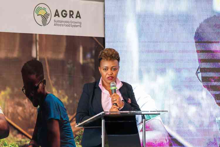 Stakeholders push for youth-led solutions to East Africa's agriculture challenges Stakeholders push for youth-led solutions to East Africa's agriculture challenges