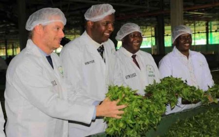 Stakeholders seek to make Kenyan tea top brand in the global market