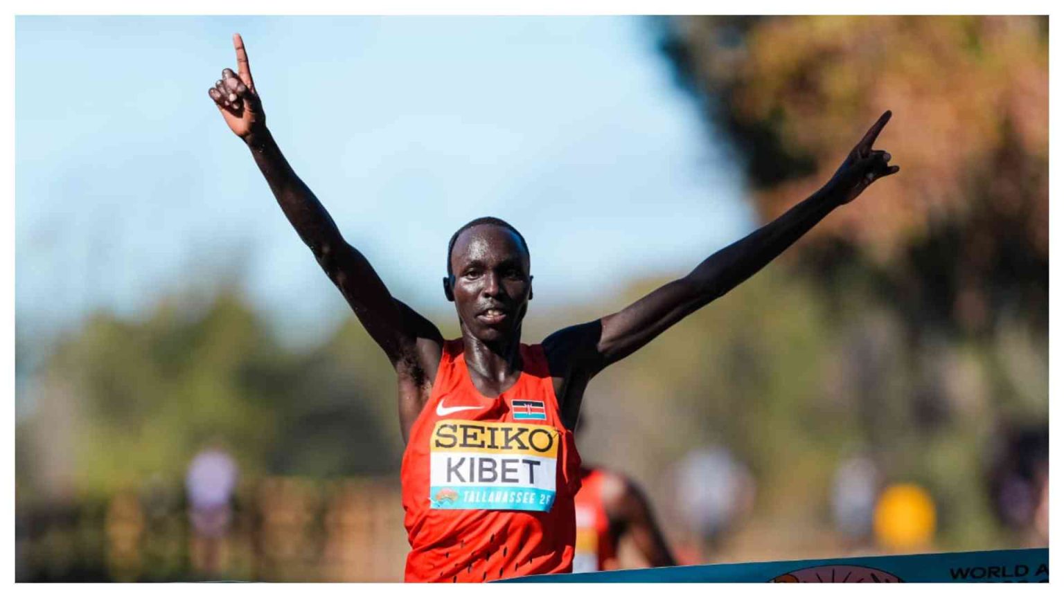 Stars emerging from cross country contests