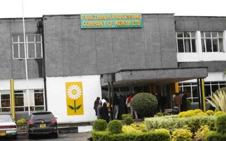 State plans to revive pyrethrum company amid insolvency claims