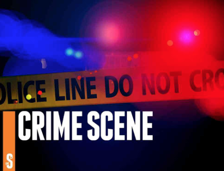 Stealing, offenses against persons are most reported crimes in 2024