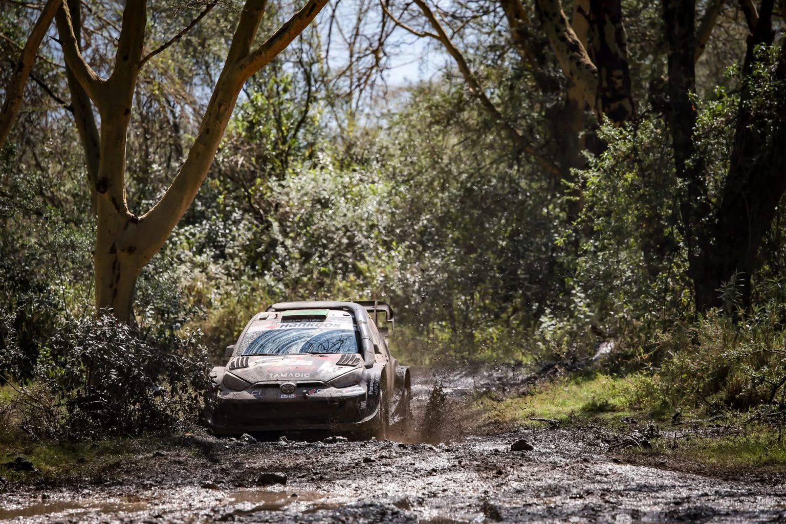 Sublime Elfyn Inches Closer To Maiden Safari Title As Crews Endure Muddy Day 3